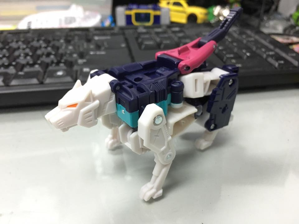 Titans Return Siege On Cybertron Boxset   In Hand Images  (2 of 13)